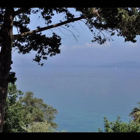 Corfu Dream Holidays Aima ヴィラ